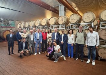 Osservatorio permanente Export, i risultati dell’indagine di Confindustria