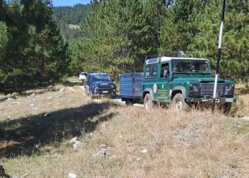 Un altro orso senza vita in Abruzzo
