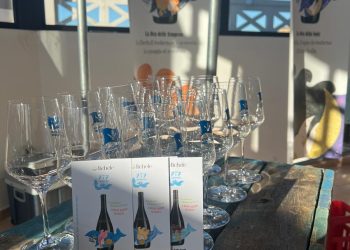 Bio Cantina SocialeOrsogna: Vini rossi, Zulli, “Non solo Montepulciano, grandi potenzialità dal Nero Antico di Pretalucente”