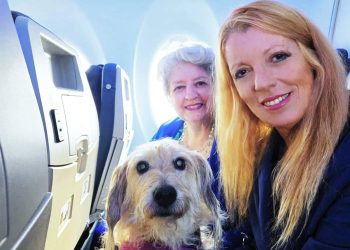 Cani in aereo, Italia all’avanguardia