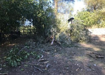 Parco del Lavino, tragedia sfiorata. Lega chiede interdizione area
