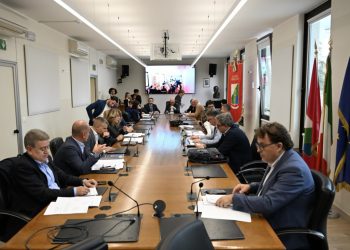 Regione Abruzzo: Confronto Commissioni su idroelettrico, disservizi Enel e balneari