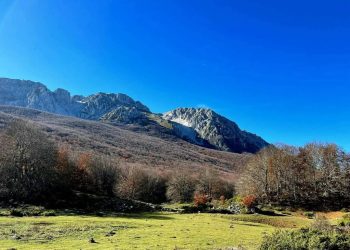 Droni e innovazione per monitorare biodiversità: Parco Sirente Velino presenta risultati progetto BIMM.