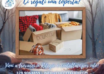 Aiuta il canile di L’Aquila anche a Natale