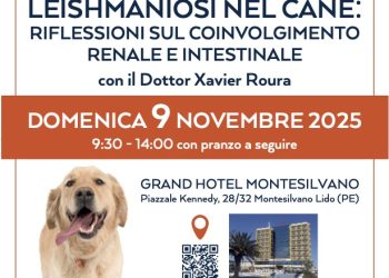 A Pescara un seminario sulla Leishmaniosi nel cane. Protagonista il dottor Xavier Roura