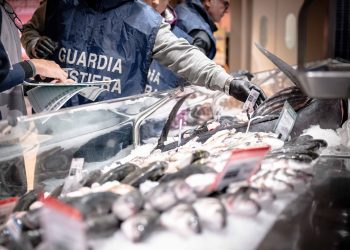 Guardia Costiera, intensificati i controlli sulla filiera ittica