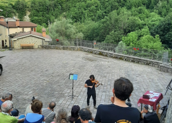 Torna Dandelion, la rassegna diffusa per concerti sostenibili